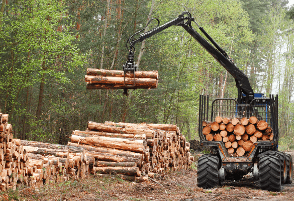 صنعت صنعت چوب و MDF